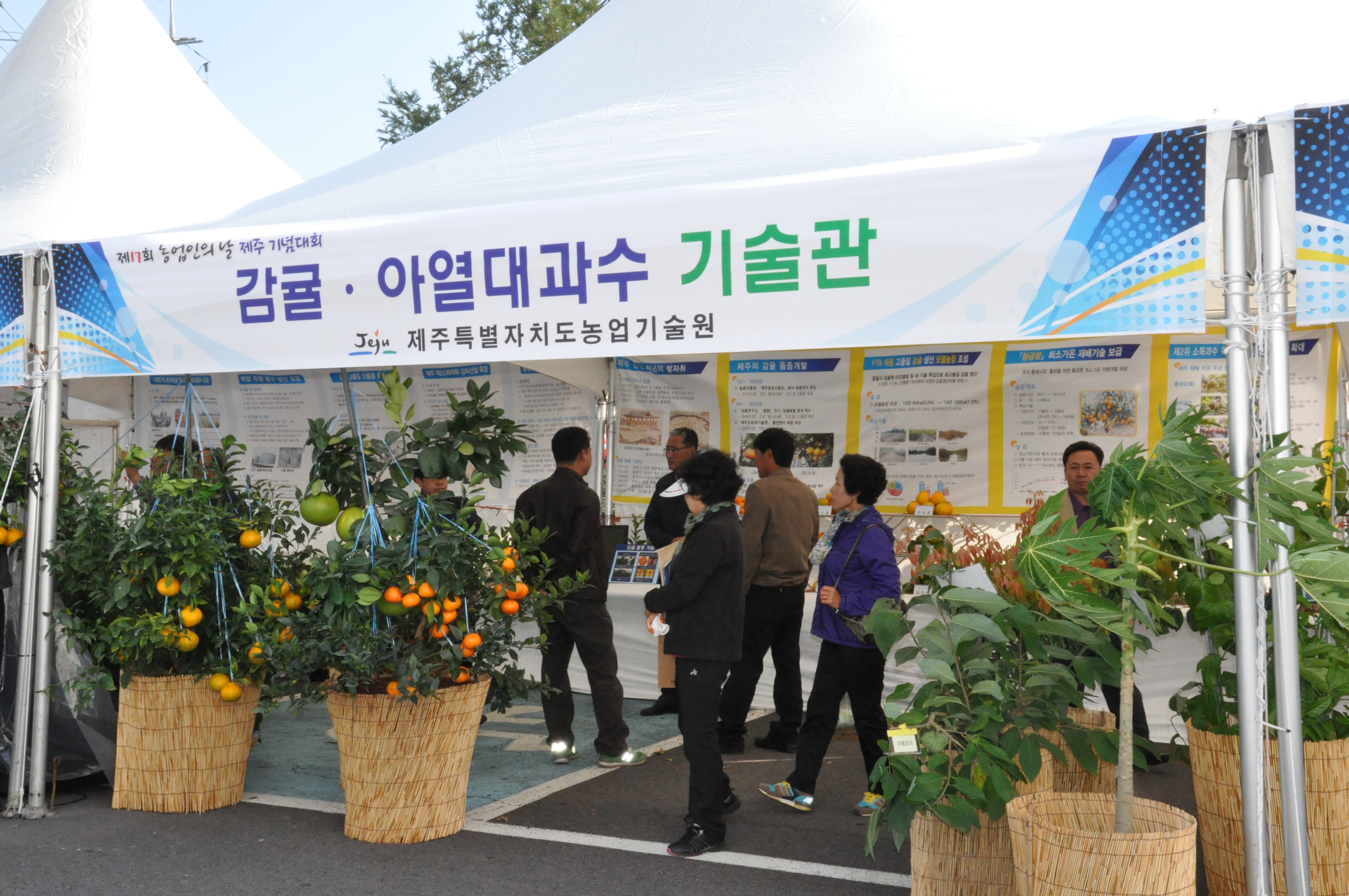 제 17회 농업인의 날 행사